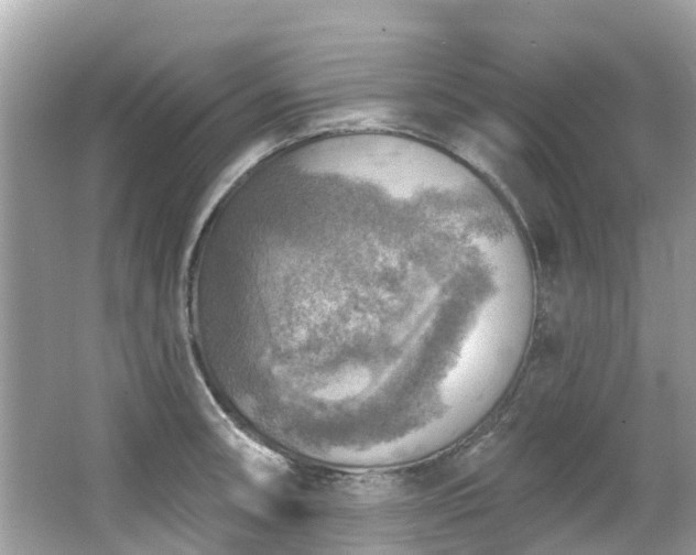 X0000063531090200601231535