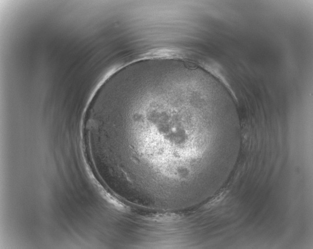 X0000063531091200601231535