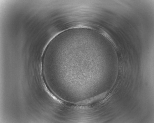 X0000063531092200601231535