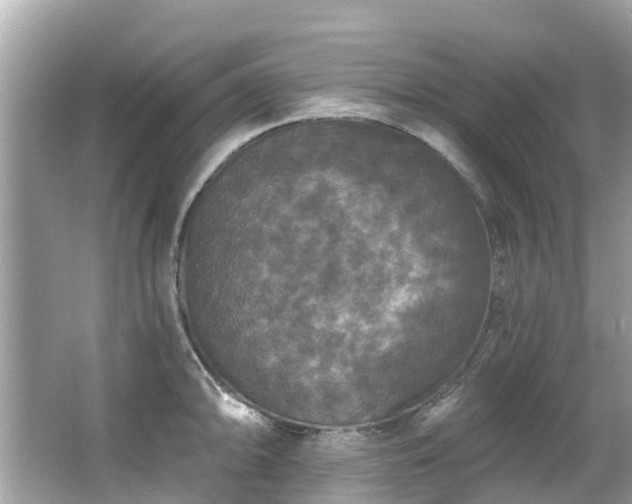 X0000063531094200601231535