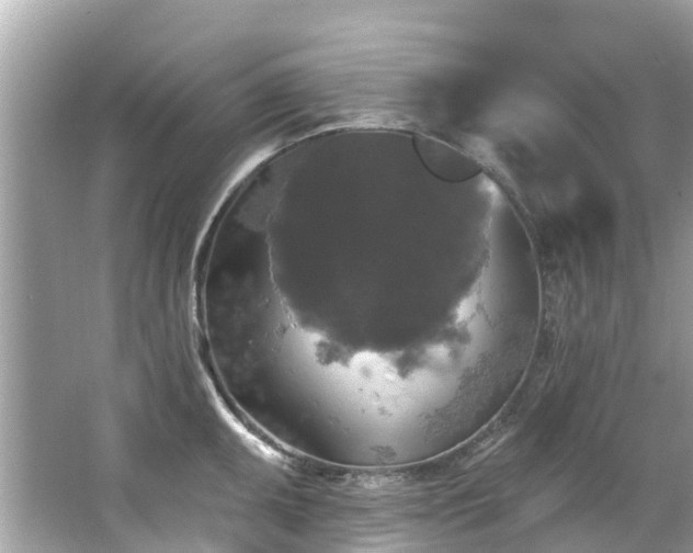 X0000063531095200601231535