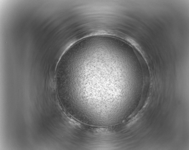 X0000063531097200601231535