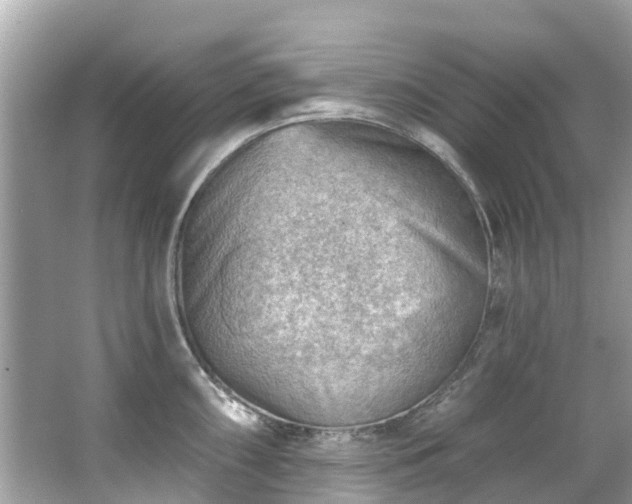 X0000063531098200601231535