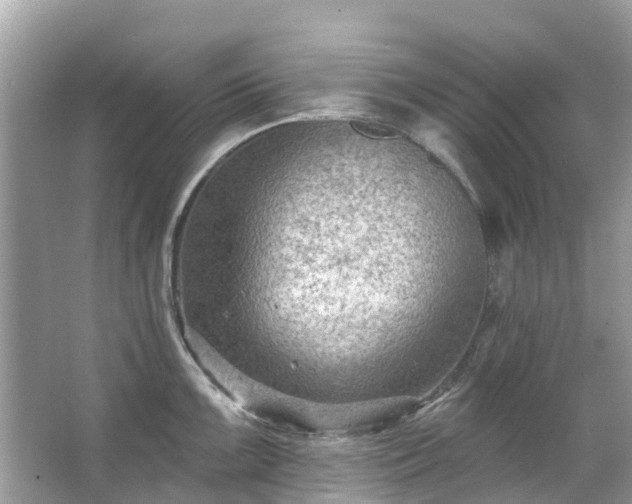 X0000063531099200601231535