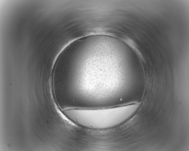 X0000063531100200601231535