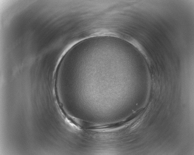 X0000063531102200601231535