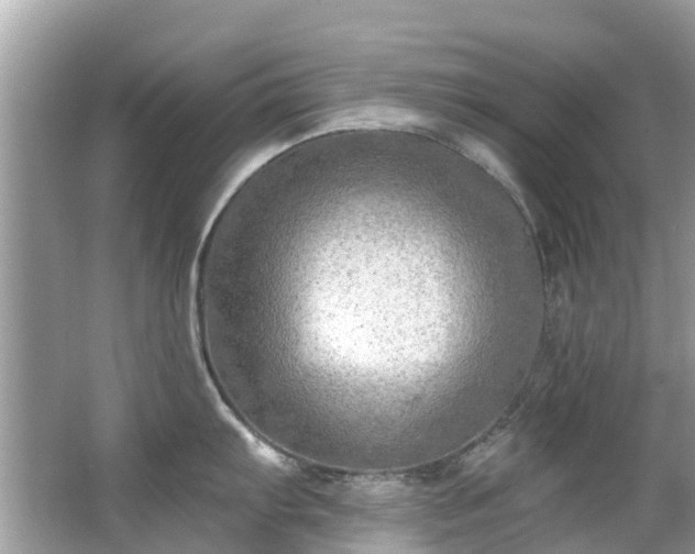 X0000063531103200601231535