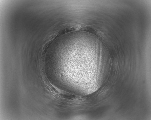 X0000063531105200601231534