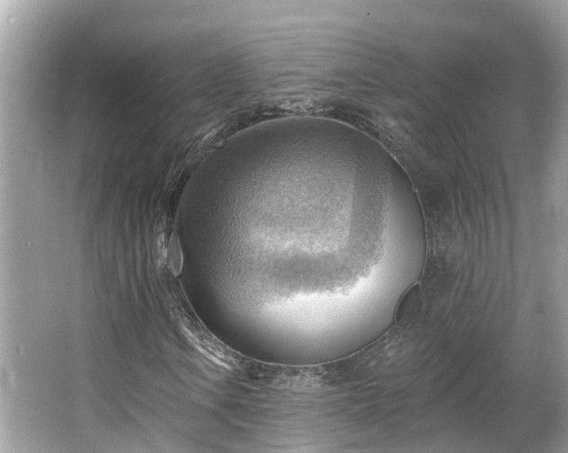 X0000063531106200601231534