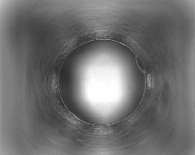 X0000063531107200601231534