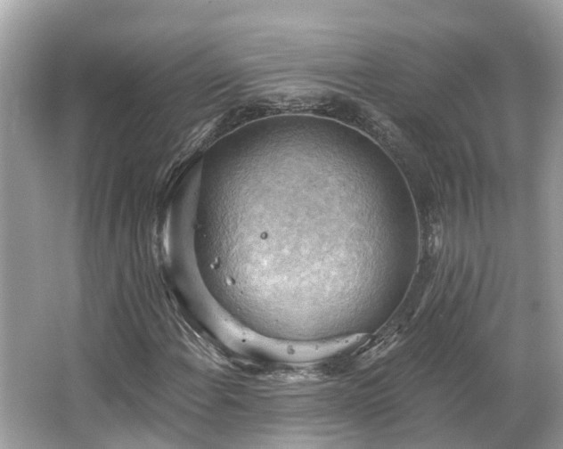 X0000063531108200601231534