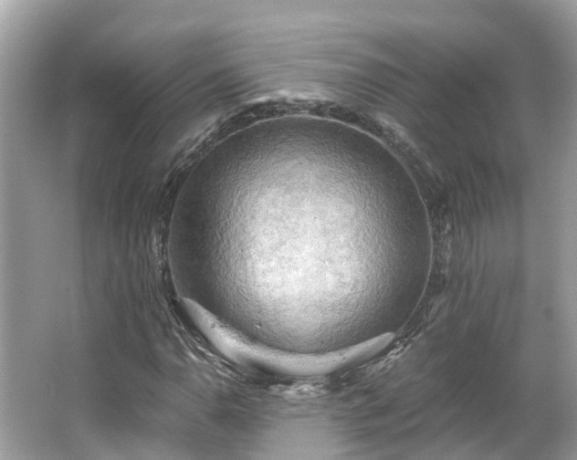 X0000063531110200601231534