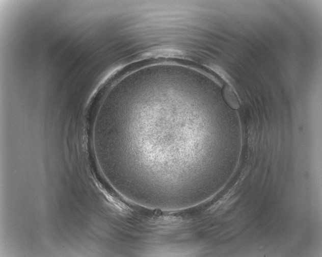 X0000063531115200601231534