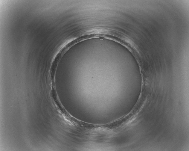 X0000063531117200601231534