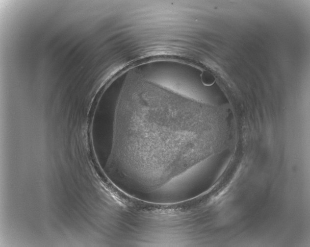 X0000063531121200601231534