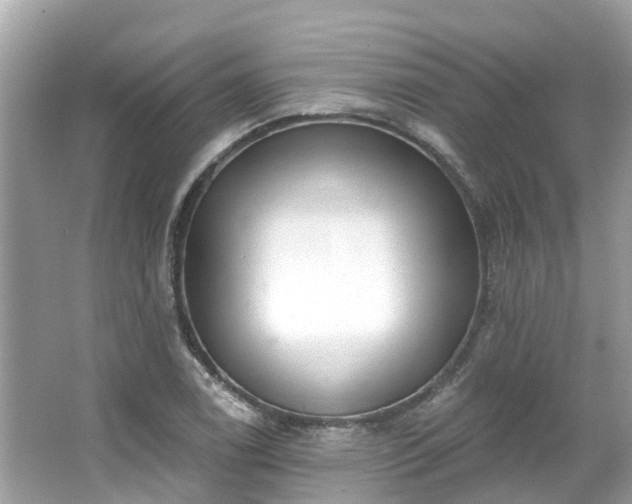 X0000063531122200601231534