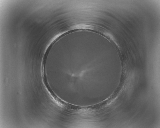 X0000063531125200601231535