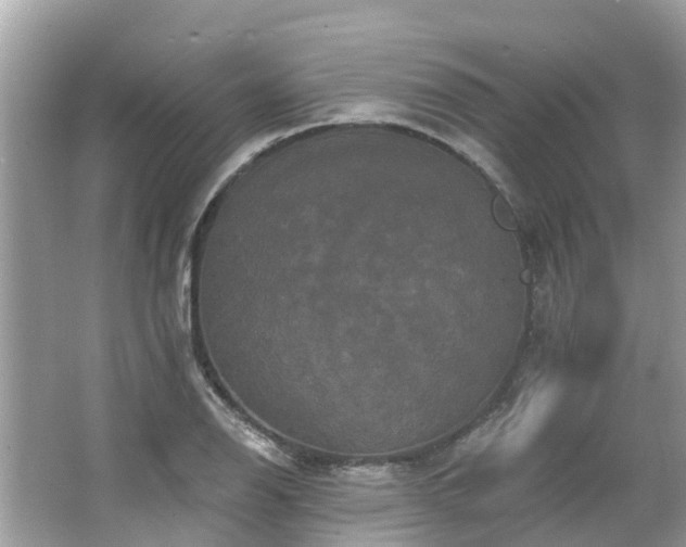 X0000063531126200601231535