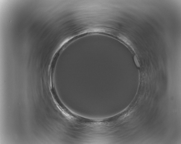 X0000063531127200601231535