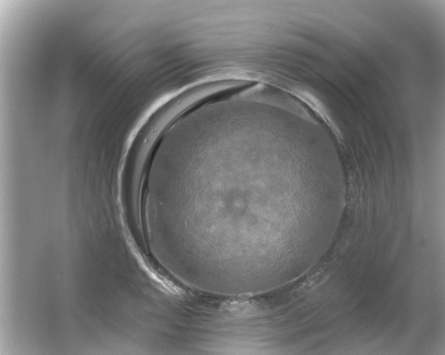 X0000063531128200601231535