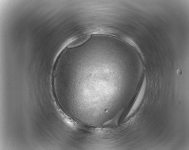 X0000063531138200601231535