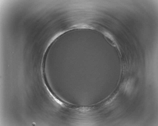 X0000063531141200601231535