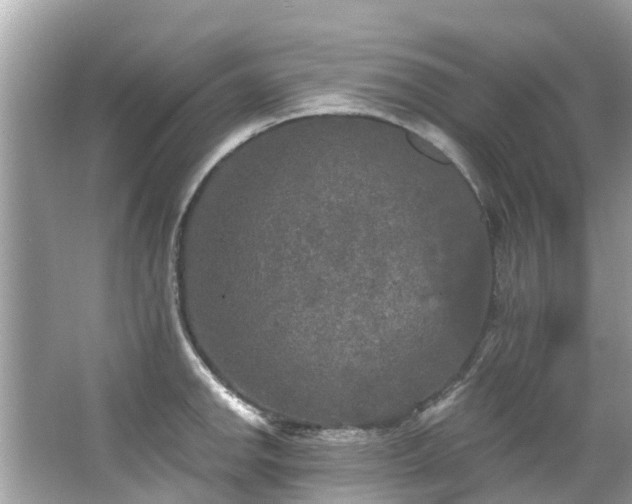 X0000063531142200601231535