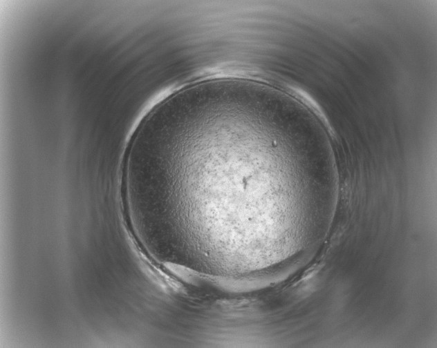 X0000063531146200601231535