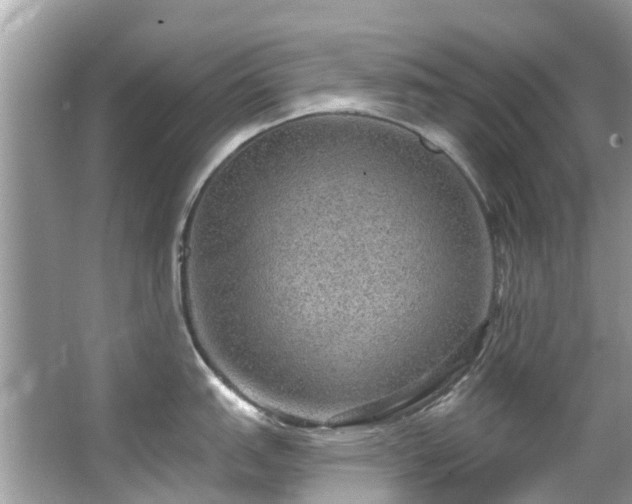 X0000063531151200601231535