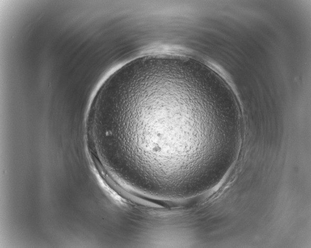 X0000063531152200601231535