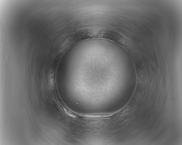 X0000063531154200601231534