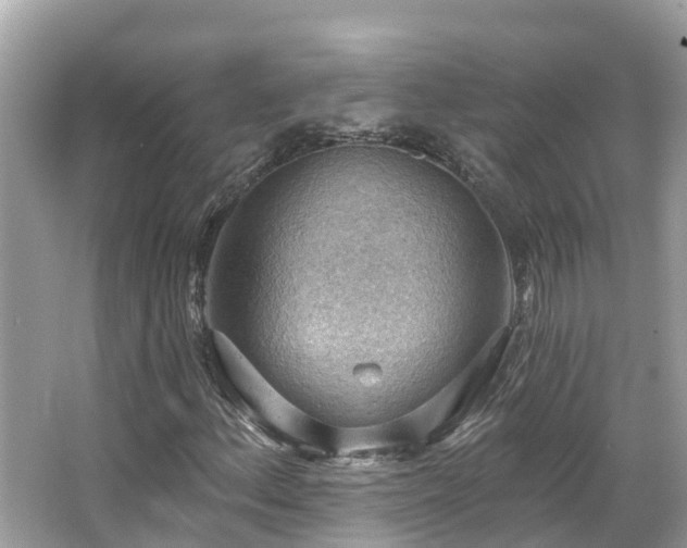 X0000063531156200601231534