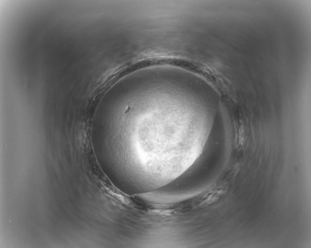 X0000063531157200601231534