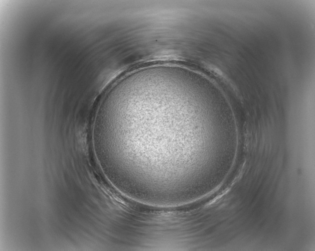 X0000063531162200601231534