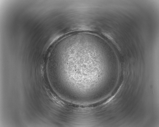 X0000063531163200601231534