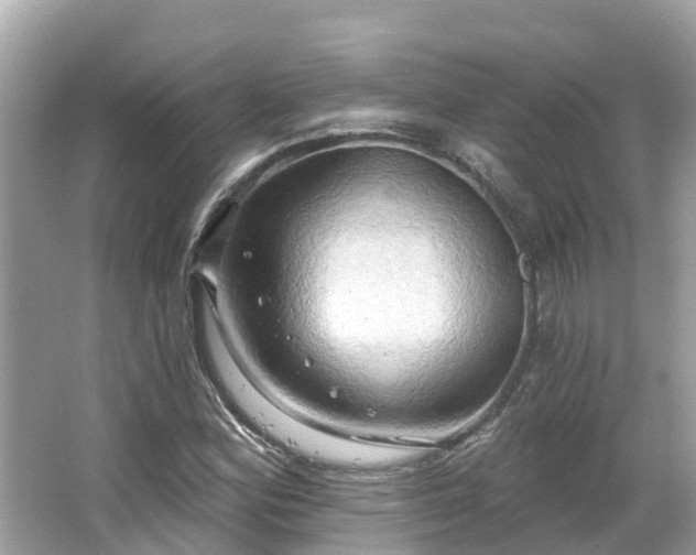 X0000063531164200601231534