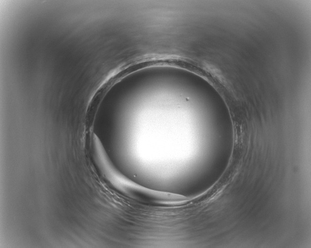 X0000063531165200601231534