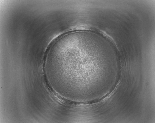 X0000063531166200601231534