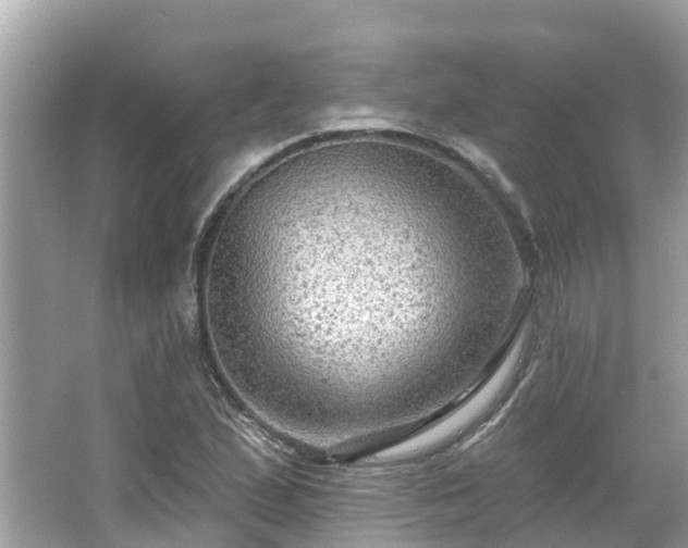 X0000063531167200601231534