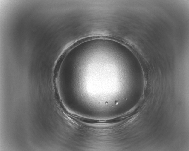 X0000063531168200601231534