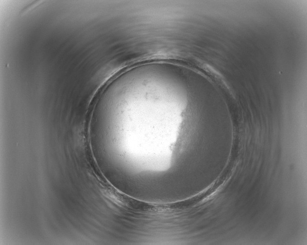 X0000063531170200601231534