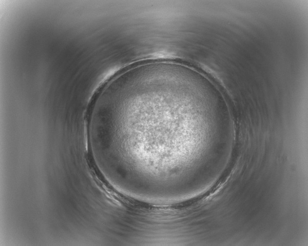 X0000063531171200601231534