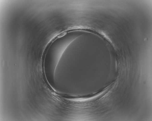 X0000063531173200601231534