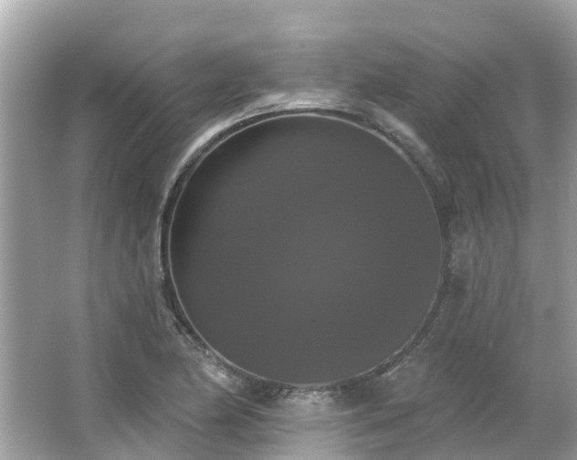 X0000063531174200601231534