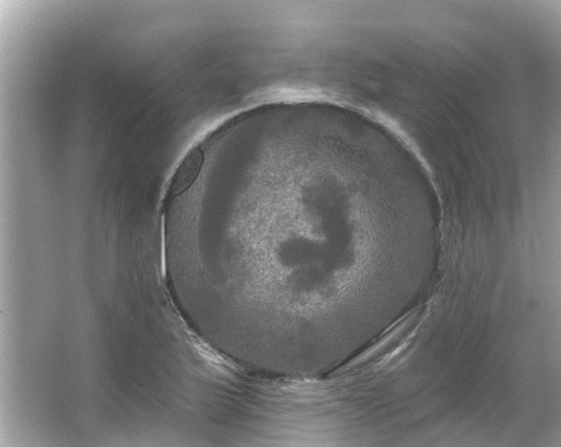 X0000063531175200601231534