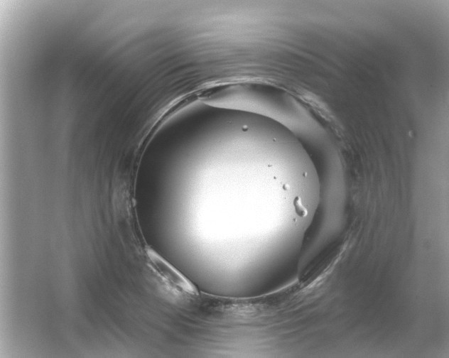 X0000063531177200601231534