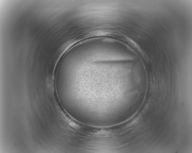 X0000063531178200601231534