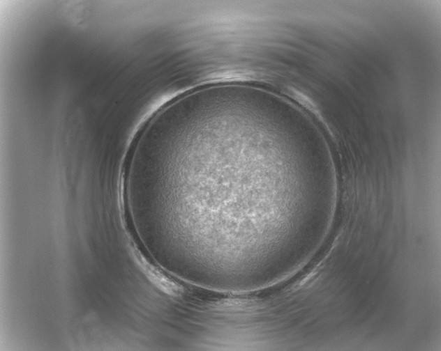 X0000063531179200601231534