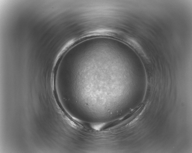 X0000063531180200601231534