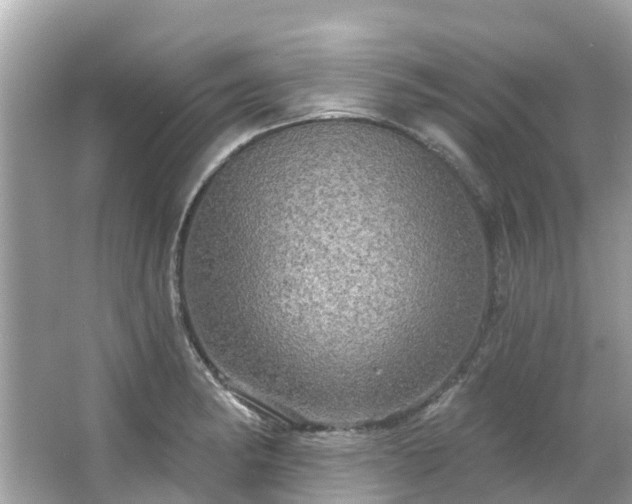 X0000063531182200601231534